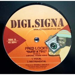 Burn A Fire - Fred Locks