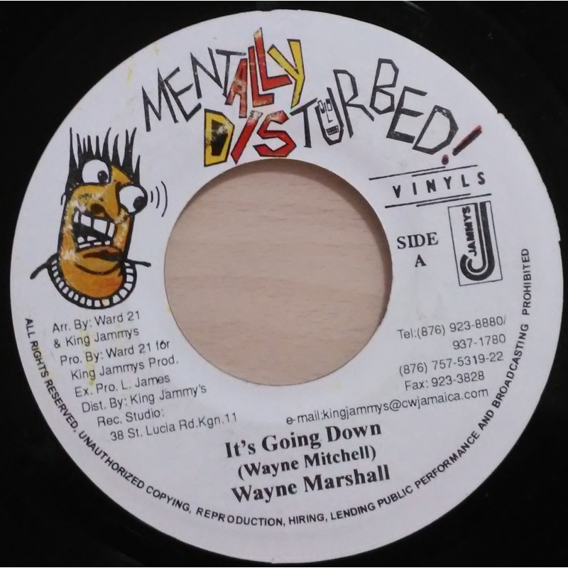 It's Going Down - Wayne Marshall