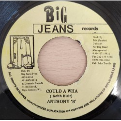 Anthony B - Could A Wha