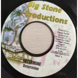 Determine -  Survival -...