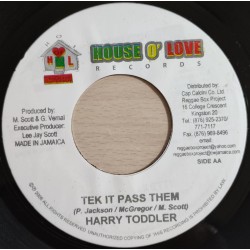 Love Like This / Tek It Pass Them - Capleton y Fire Passion, Harry Toddler