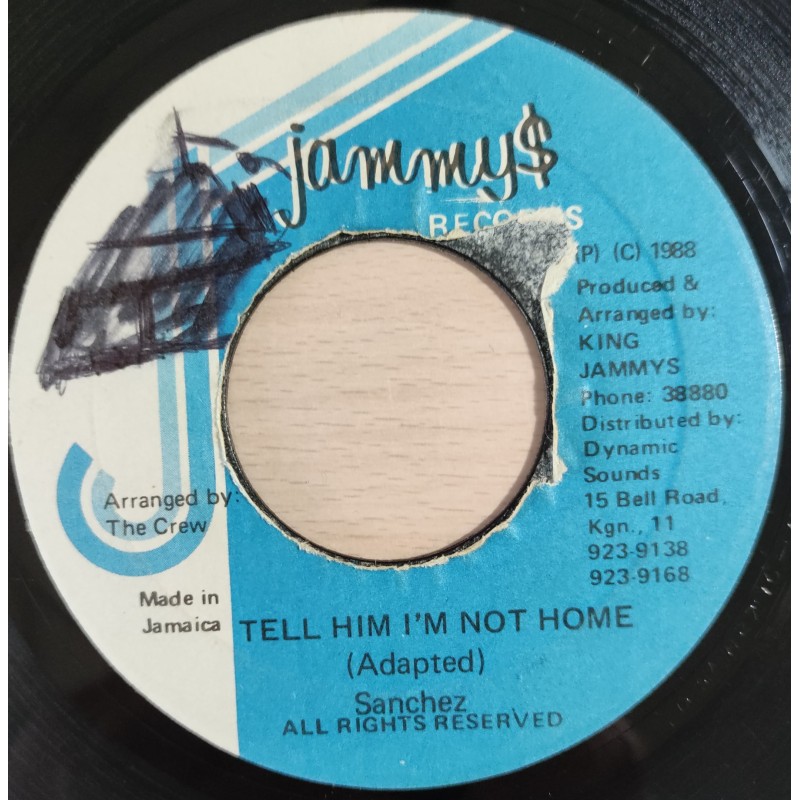 Tell Him I'm Not Home - Sanchez