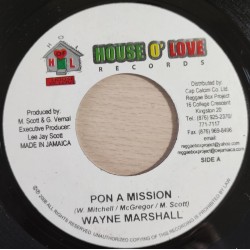 Pon A Mission / Tek It Pass...