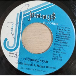 Guiding Star - Colin Roach...